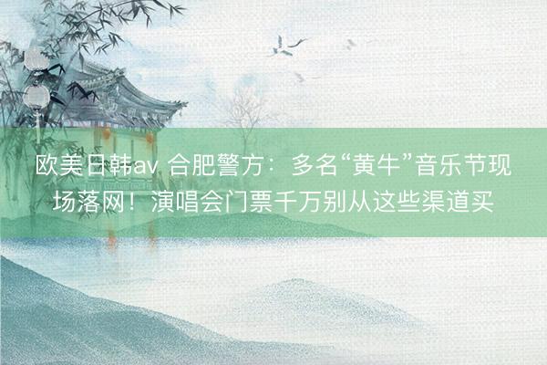 欧美日韩av 合肥警方:多名“黄牛”音乐节现场落网!演唱会门票千万别从这些渠道买